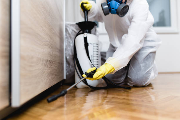 Reliable Escobares, TX Pest Control Solutions