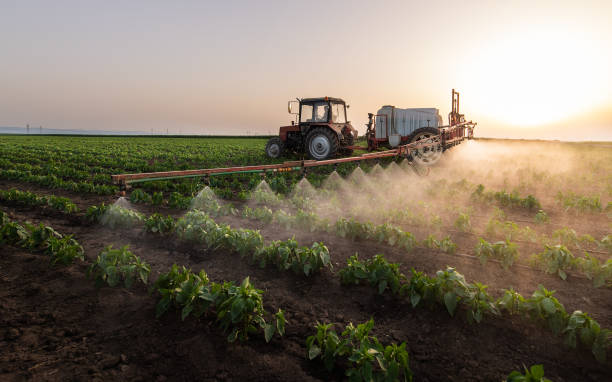Best Best Pest Control Companies  in Escobares, TX