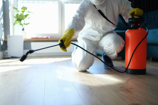 Best Ant Control Services  in Escobares, TX