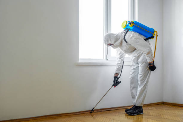 Best Affordable Pest Control Services  in Escobares, TX