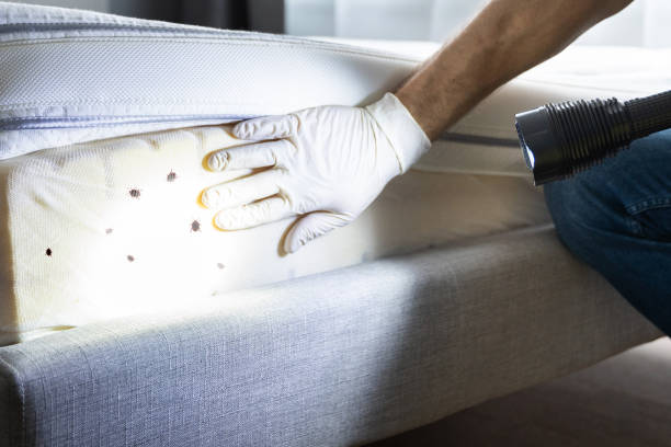 Best Pest Removal Services  in Escobares, TX
