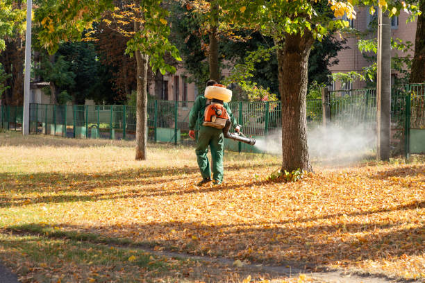 Best Pest Control Near Me  in Escobares, TX