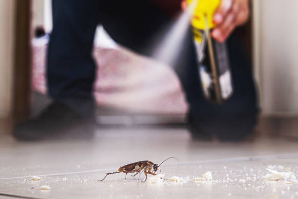Best Cockroach Control Services  in Escobares, TX